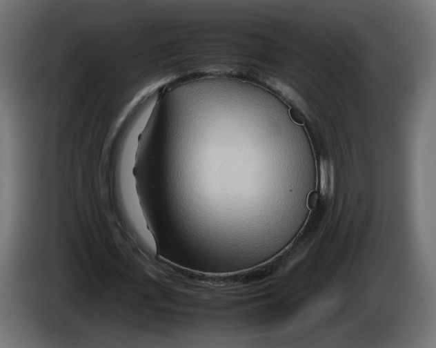 X0000082950723200703020149