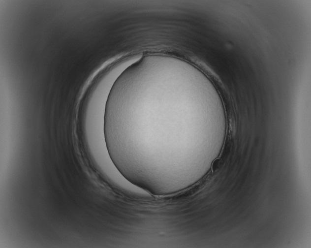 X0000082950724200703020149