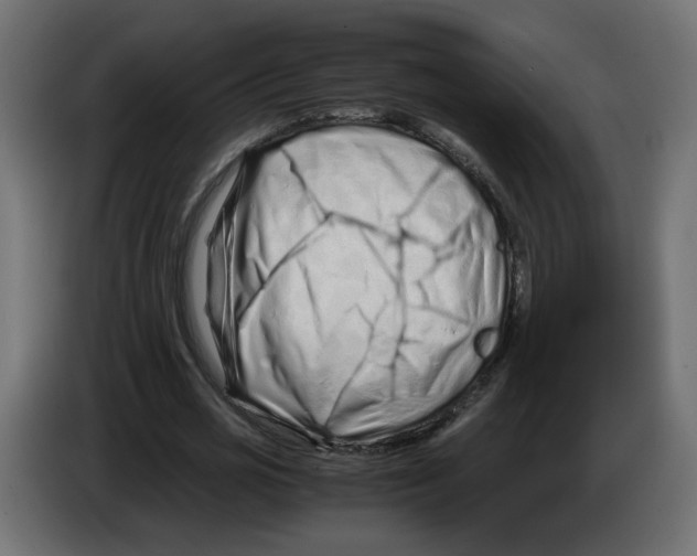 X0000082950725200703020149