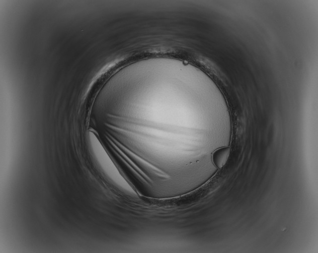 X0000082950727200703020149