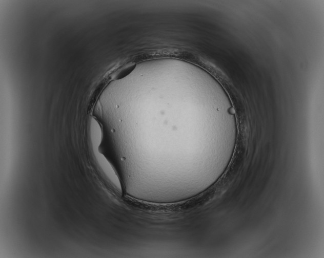 X0000082950729200703020149