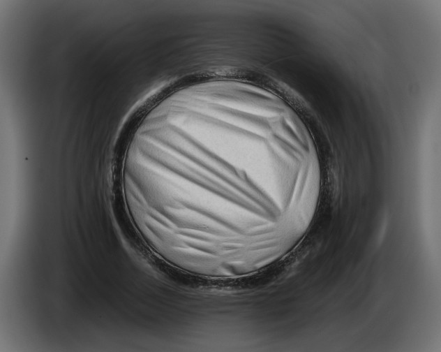 X0000082950730200703020149