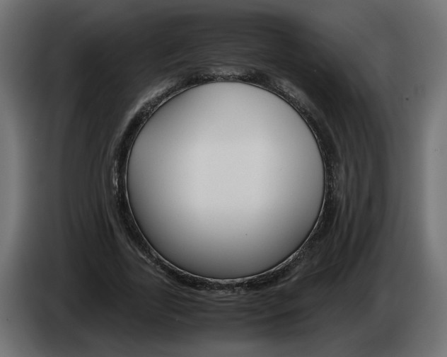 X0000082950731200703020149