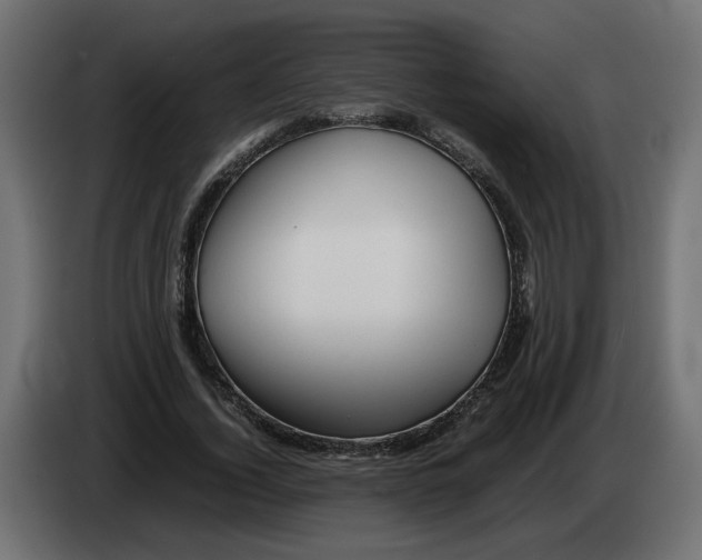 X0000082950732200703020149