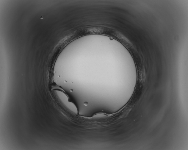 X0000082950733200703020149