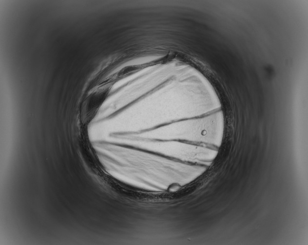 X0000082950734200703020149