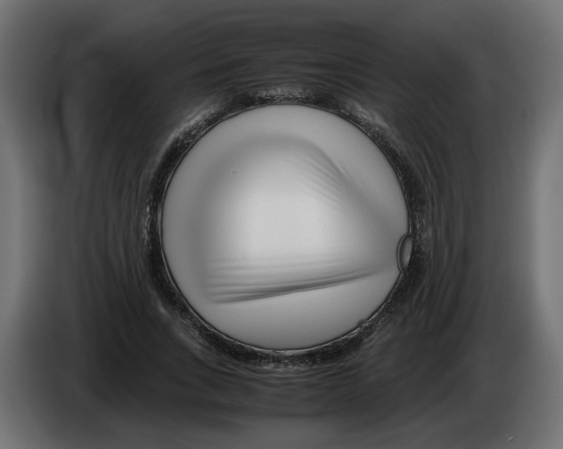 X0000082950735200703020149