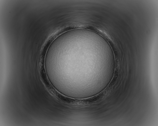 X0000082950736200703020149