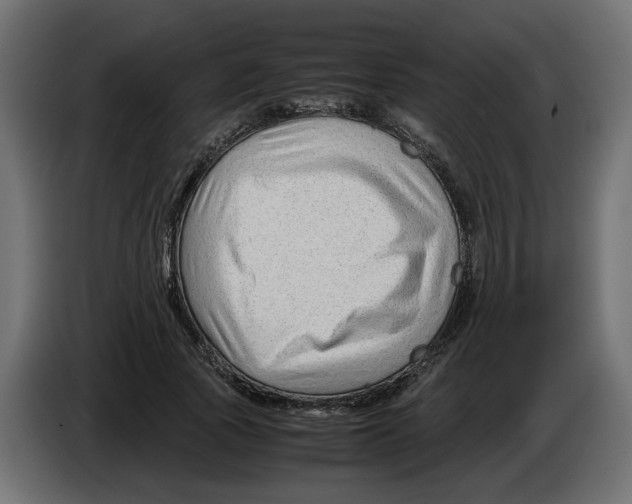 X0000082950737200703020149