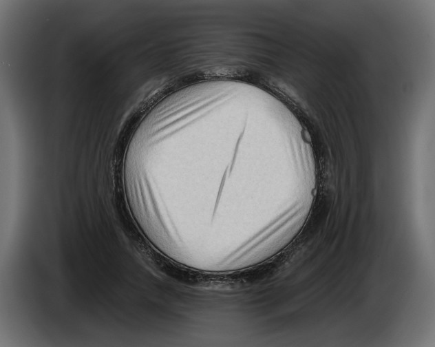 X0000082950738200703020149