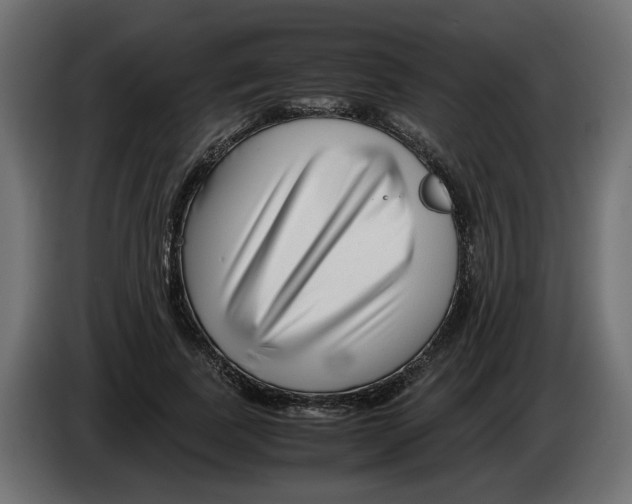 X0000082950739200703020149