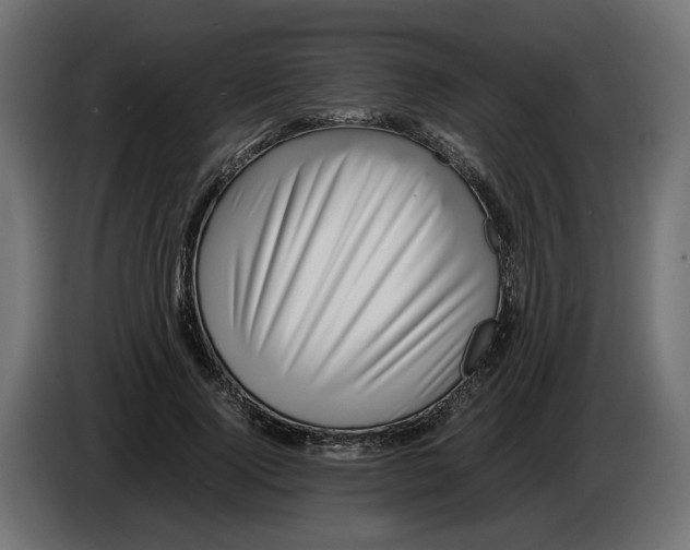 X0000082950740200703020149