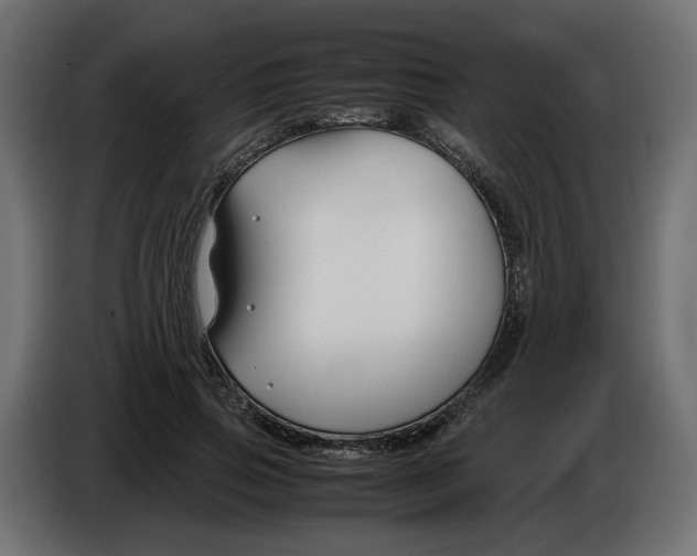 X0000082950741200703020149