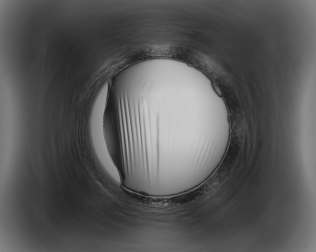 X0000082950744200703020149