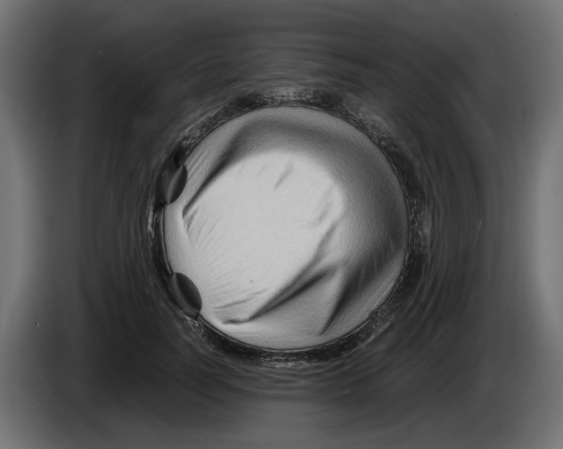 X0000082950746200703020149