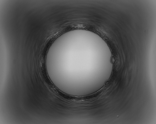 X0000082950747200703020149