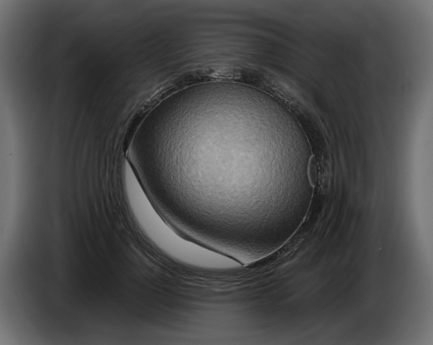 X0000082950748200703020149