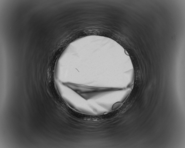 X0000082950751200703020149