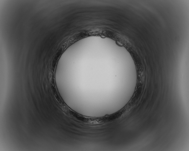 X0000082950753200703020149