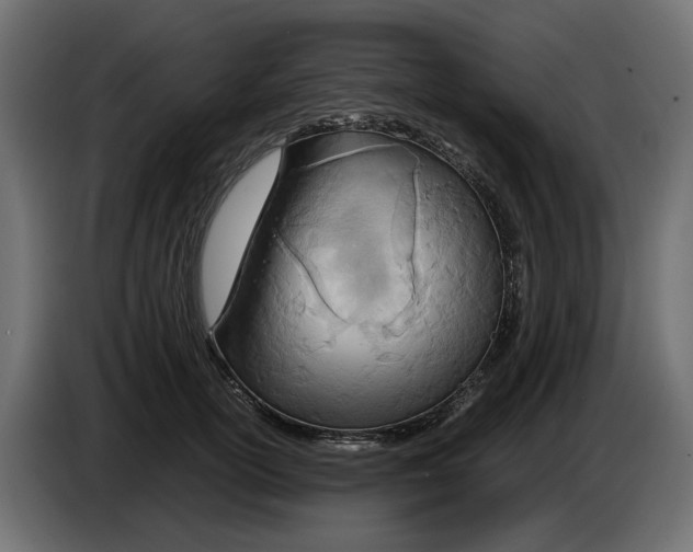 X0000082950754200703020149