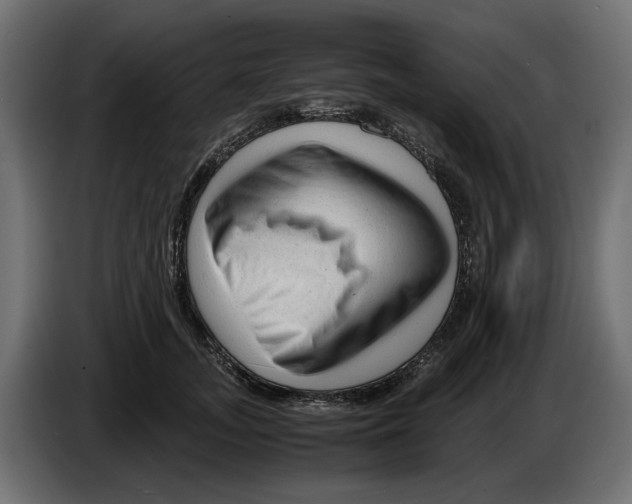 X0000082950755200703020149