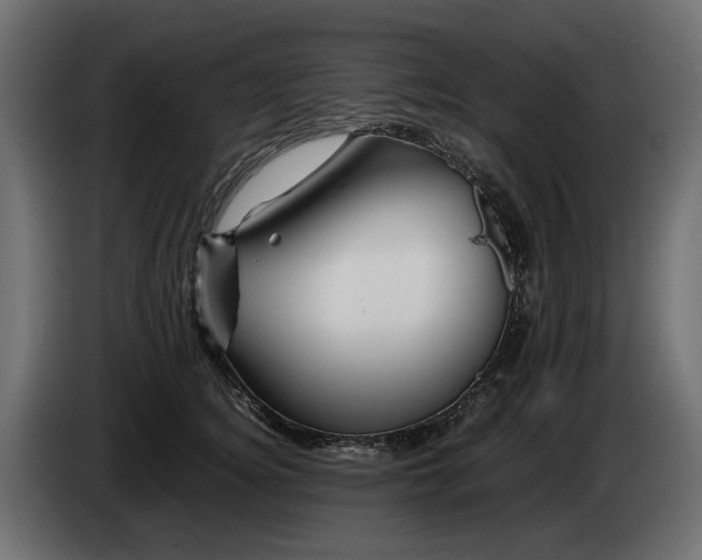 X0000082950756200703020149