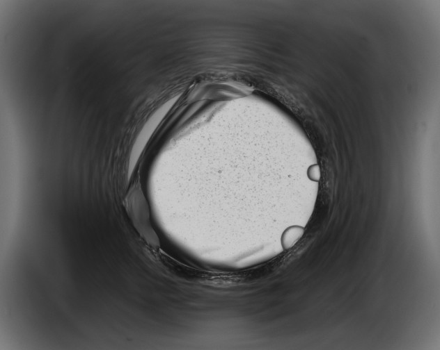 X0000082950758200703020149