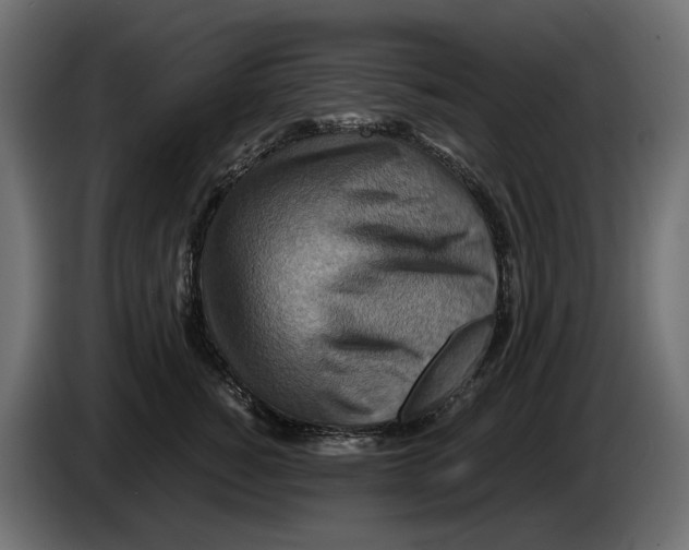 X0000082950760200703020149