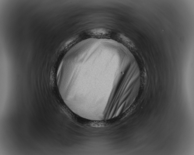 X0000082950762200703020149