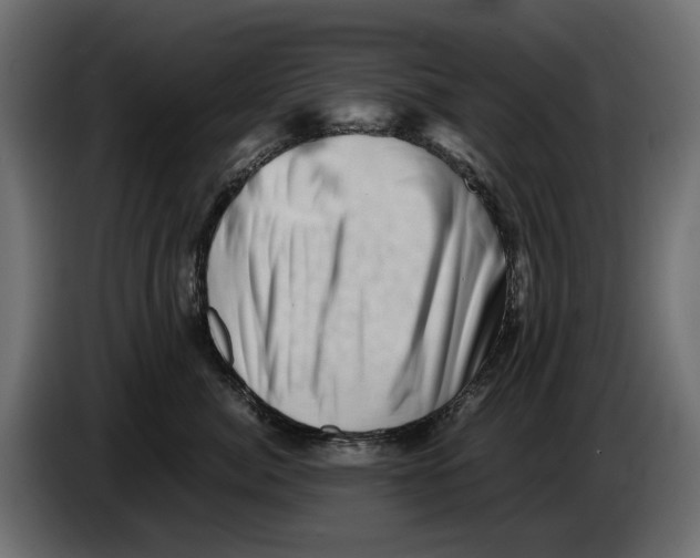 X0000082950764200703020149