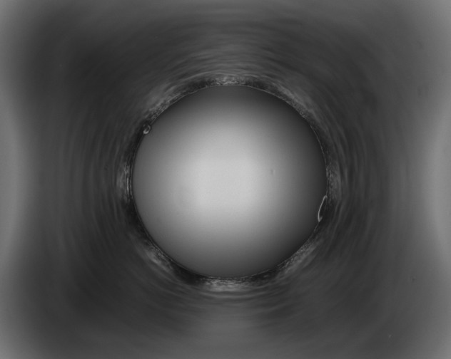 X0000082950766200703020149