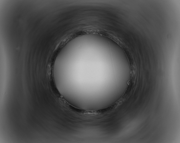 X0000082950767200703020149