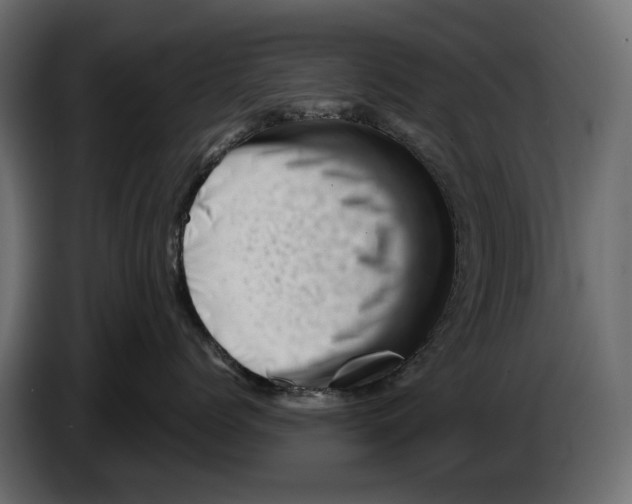 X0000082950768200703020149