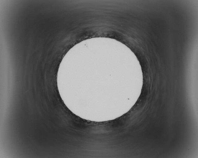 X0000082950769200703020149