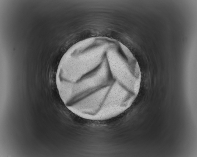 X0000082950770200703020149