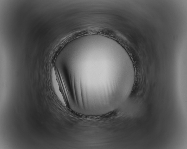 X0000082950773200703020149