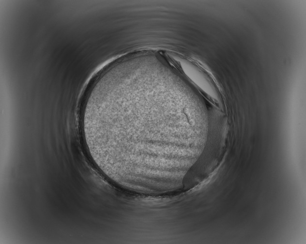 X0000082950779200703020149