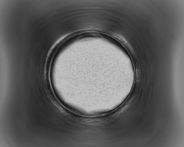 X0000082950780200703020149