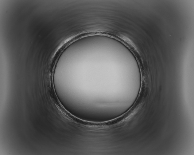 X0000082950781200703020149