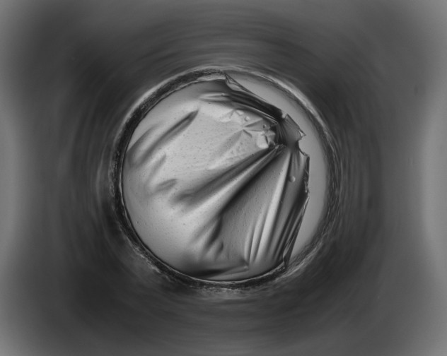 X0000082950783200703020149