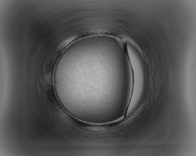 X0000082950785200703020148