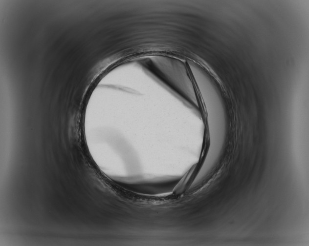 X0000082950786200703020148