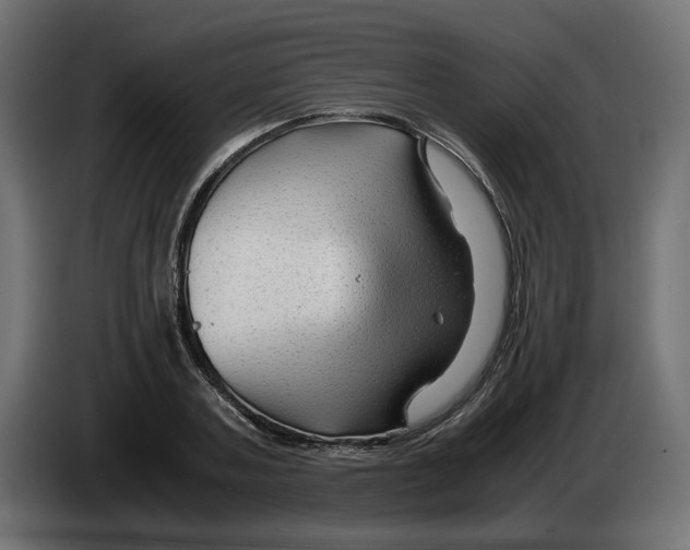 X0000082950787200703020148