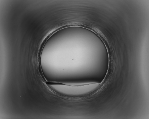 X0000082950789200703020148