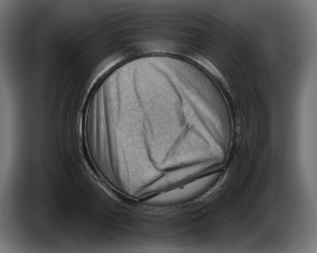 X0000082950790200703020148