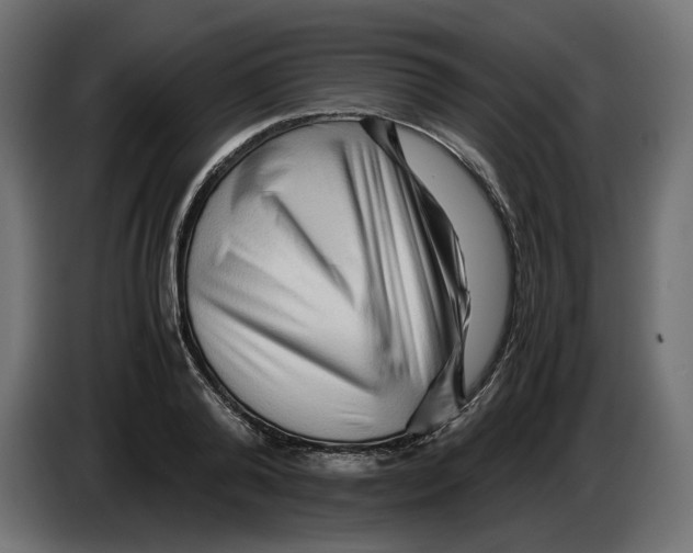 X0000082950792200703020148