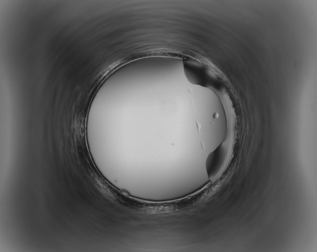 X0000082950793200703020148