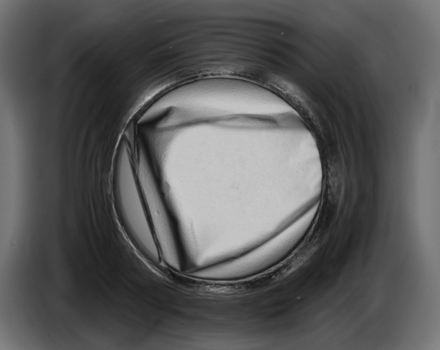 X0000082950794200703020148