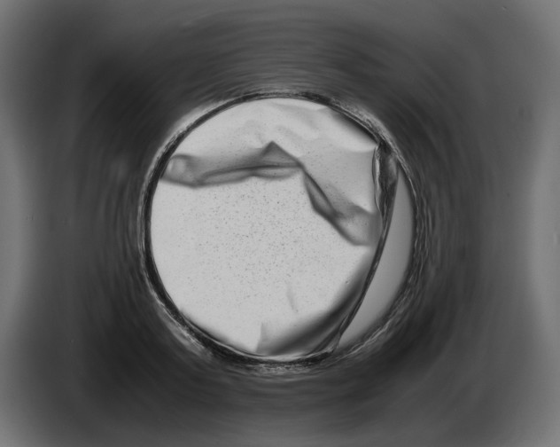 X0000082950795200703020148