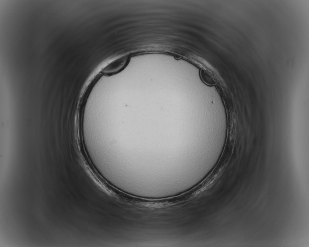 X0000082950796200703020148